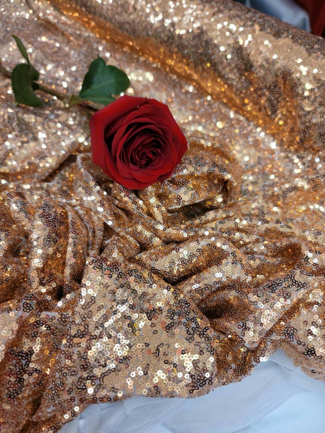 Sequin Mesh Fabric Cooper