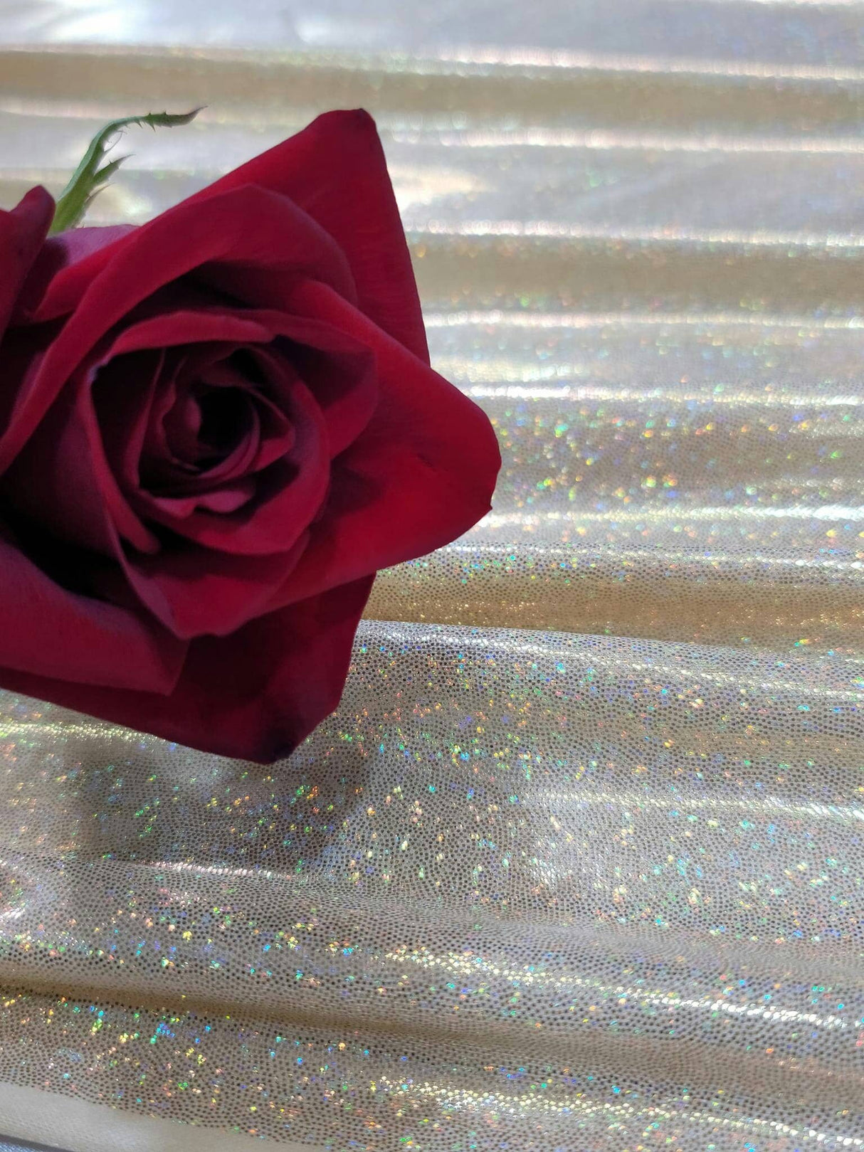 Iridescent Shimmer Fabric Gold