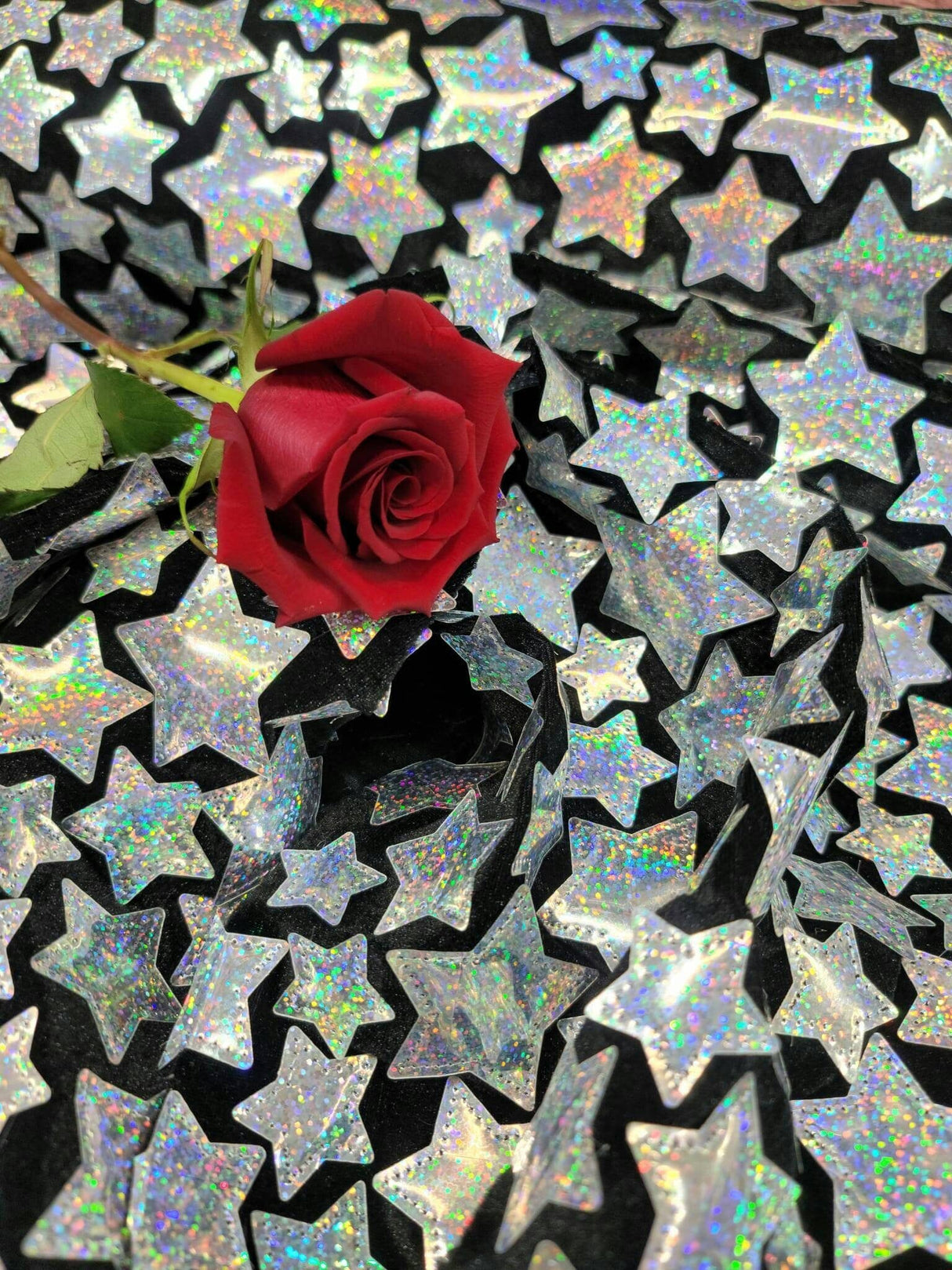 Sequin Embroidered Stretch Velvet Black