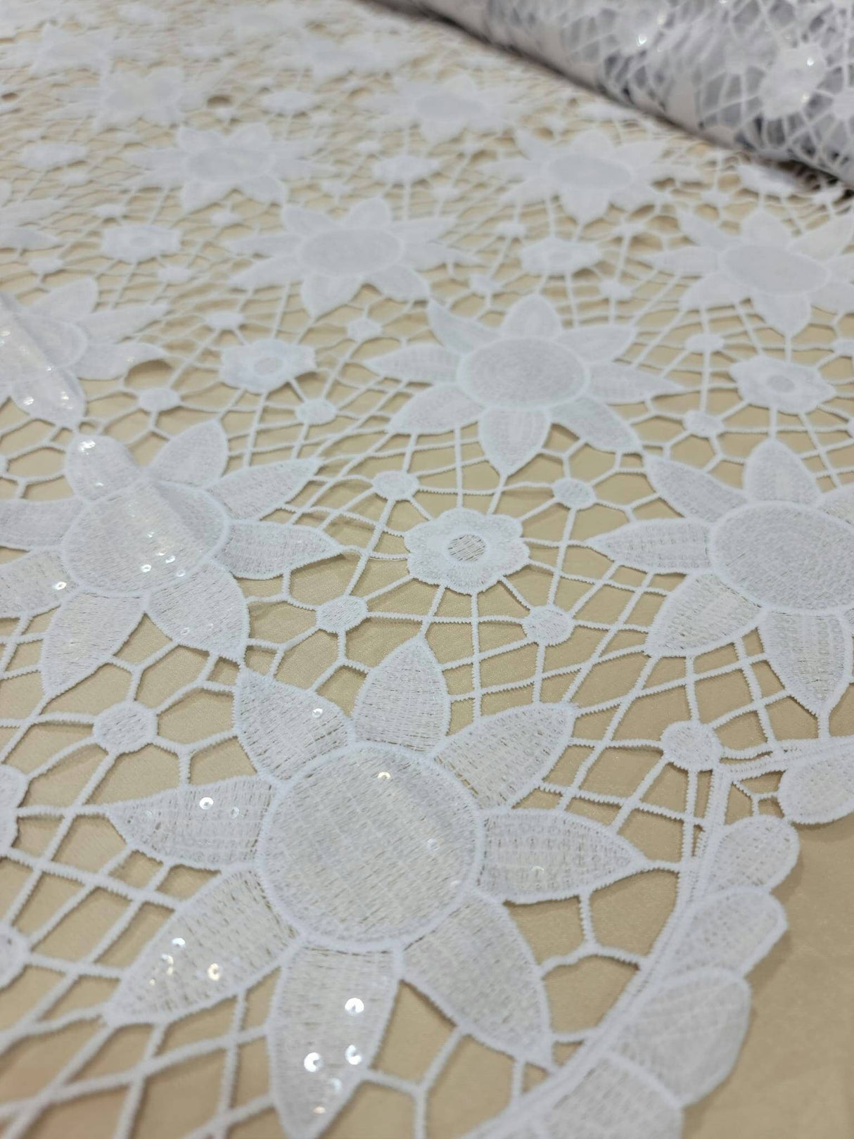Embroidered Lace Clear Sequin White