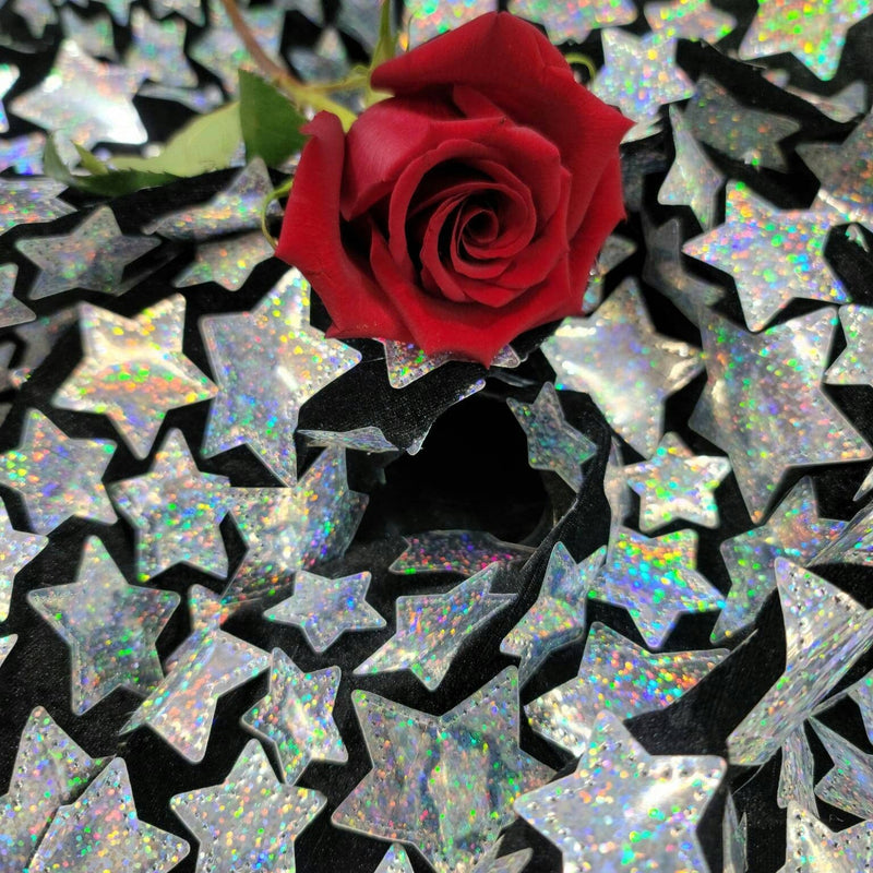 Sequin Embroidered Stretch Velvet Black