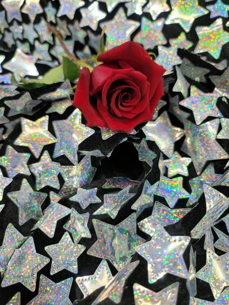 Sequin Embroidered Stretch Velvet Black
