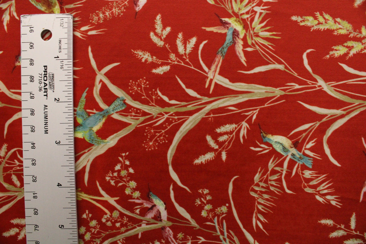 Humming Bird Fauna Polyester Spandex Fabric - Humming Bird Fauna Print, 58"/60" Width (Yard (36" X 60"))