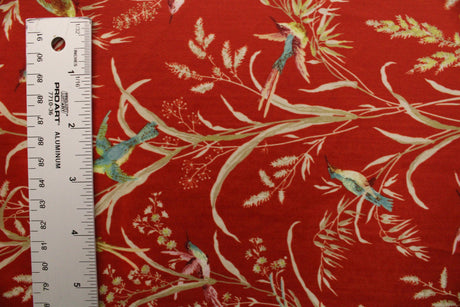 Humming Bird Fauna Polyester Spandex Fabric - Humming Bird Fauna Print, 58"/60" Width (Yard (36" X 60"))