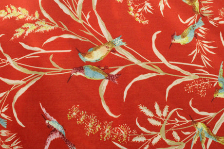 Humming Bird Fauna Polyester Spandex Fabric - Humming Bird Fauna Print, 58"/60" Width (Yard (36" X 60"))