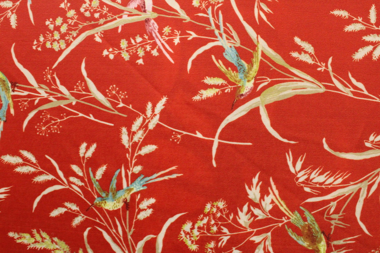 Humming Bird Fauna Polyester Spandex Fabric - Humming Bird Fauna Print, 58"/60" Width (Yard (36" X 60"))
