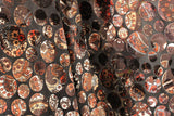 Paisley Dots Burnout Velvet Fabric - Teal, Brown Paisley Dots, 36" Width (1 Yard)