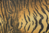 Elegant Tiger Printed Mesh Fabric - Tiger Print, 36" X 60" (1 Yard)