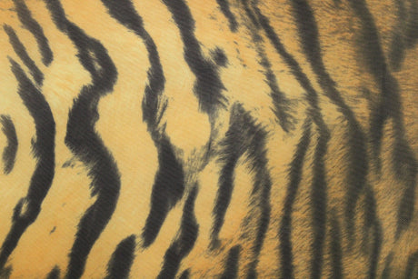 Elegant Tiger Printed Mesh Fabric - Tiger Print, 36" X 60" (1 Yard)