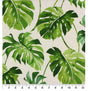 Cotton Canvas Fabric Richloom Adeleta Pacific 44" Wide 100% Cotton