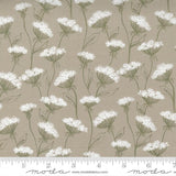 Quilting Cotton Flower Pot Taupe Floral Moda