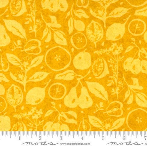 Quilting Cotton Fruit Loop Sunshine Floral Moda