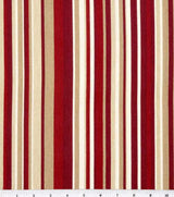 Cotton Canvas Glee Red 44" Wide