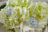Rhinestone Button Silver Iridescent Dome 1.25"