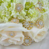 Rhinestone Button Gold Spiral Dome Shank