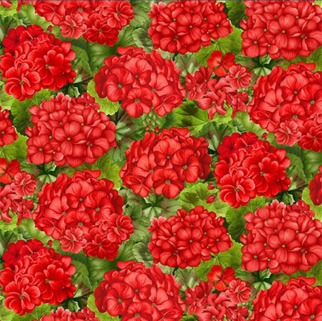 Quilting Cotton Scarlet Beauty Packed Geranium with Leaves Timeless Treasures