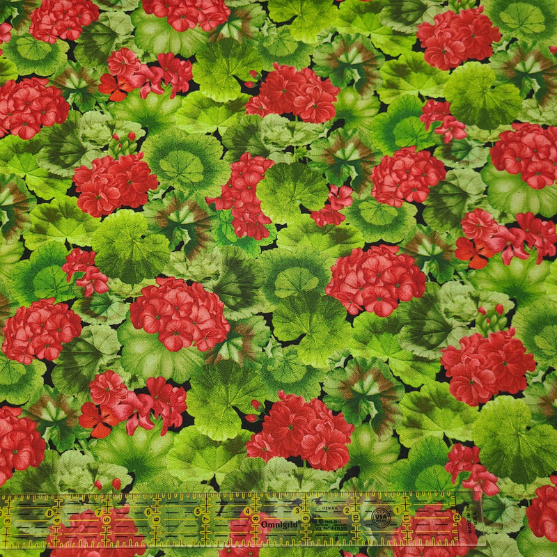 Quilting Cotton Scarlet Beauty Geranium with Leaves Timeless Treasures