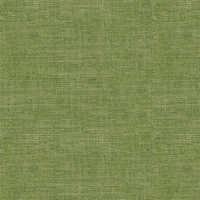 Quilting Cotton Burlap Texture Olive 100% Cotton Timeless Treasures