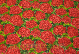 Quilting Cotton Scarlet Beauty Packed Geranium with Leaves Timeless Treasures