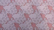 Satin Charmeuse Cat Print White Pink