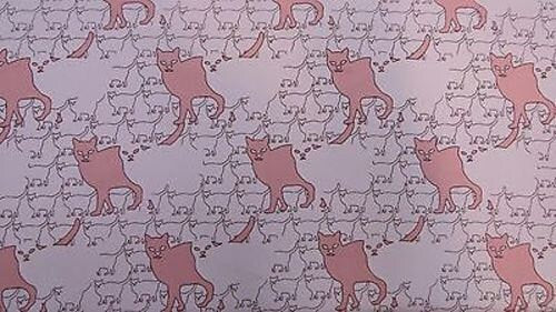 Satin Charmeuse Cat Print White Pink