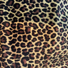 Safari Printed Stretch Velvet Fabric - Tiger, Zebra, Baby Leopard, Leopard, 52" Width (1 Yard)