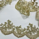 Corded Lace Trimming Embroidered Mesh
