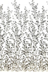 Beaded Sequined Lace Fabric on Polyester Net Mesh