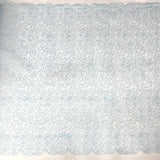 Embroidered Lace Turquoise Mesh