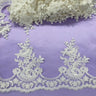 Embroidered Corded Lace Trim Ivory