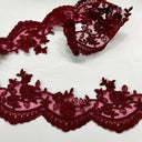 Corded Lace Trimming 3.75" Embroidered Mesh
