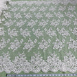 Beaded Corded Bridal Lace Ivory Mesh