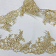 Embroidered Corded Lace Trim White
