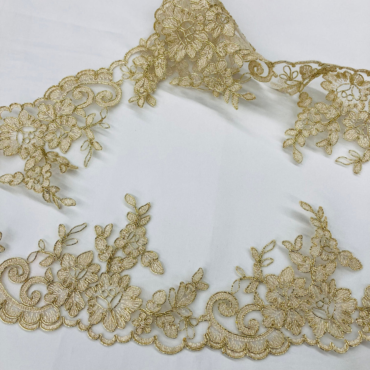 Embroidered Corded Lace Trim White