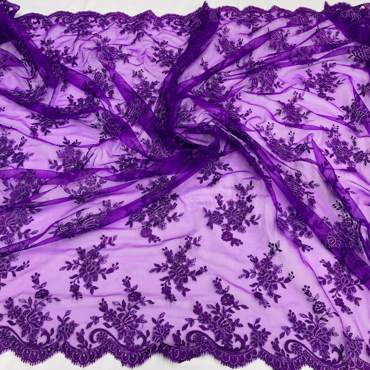 Corded Embroidered Lace Mesh