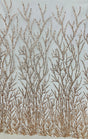 Beaded Sequined Lace Fabric