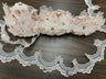 Beaded Lace Trimming Embroidered On 100 Percent Polyester Organza Fabric - Assorted Colors, 2.5" Width (1 Yard)