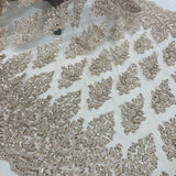 Beaded Embroidered Lace Mesh Champagne