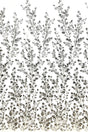 Beaded Sequined Lace Fabric - Embroidered On 100% Polyester Net Mesh, Silver, Rose Gold, 54" Width (1 Yard)