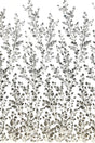 Beaded Sequined Lace Fabric