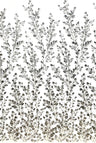Beaded Sequined Lace Fabric