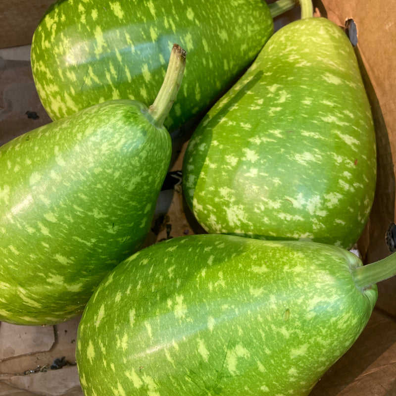Deshi Squash
