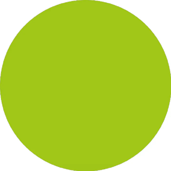 Prolite Heat Transfer Vinyl Fabric - Apple Green, 20" H X 12" W (1 Foot)