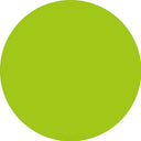 Prolite Heat Transfer Vinyl Fabric - Apple Green, 20" H X 12" W (1 Foot)