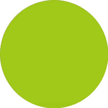 Prolite Heat Transfer Vinyl Fabric - Apple Green, 20" H X 12" W (1 Foot)