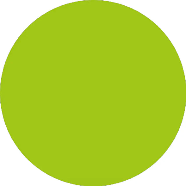 Prolite Heat Transfer Vinyl Fabric - Apple Green, 20" H X 12" W (1 Foot)