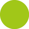 Prolite Heat Transfer Vinyl Fabric - Apple Green, 20" H X 12" W (1 Foot)