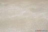 Crystal Organza Polyester Fabric - Sparkle Sheer, 58/60" Width, Yards & Bolts (1 Yard)