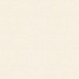 Ivory Solid Minky Fabric,