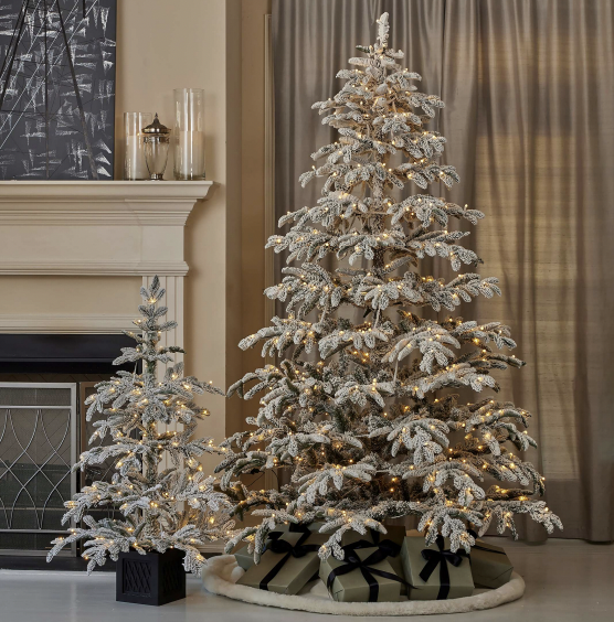 7.5' Jackson Flocked Pine with 600 Warm White LED Lights